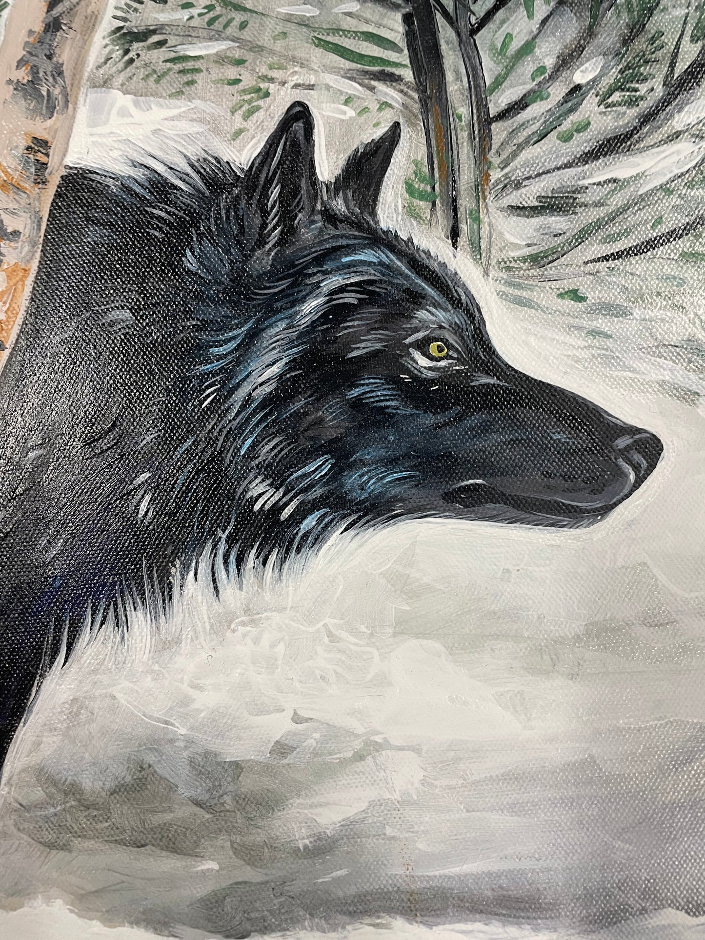 Black Wolf in Snow Original