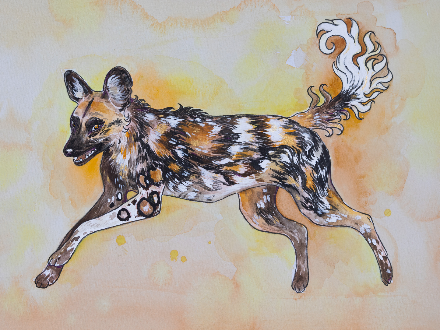 African Wild Dog Print